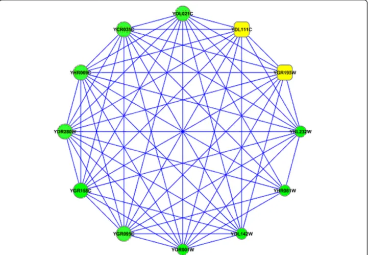 Figure 7 A graphical representation of the sub-network in yeast HC PPI network. All nodes belong to a protein complex (SG_0000176).