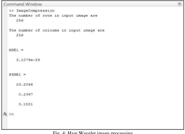 Fig. 3: Output of the ROI part of image 