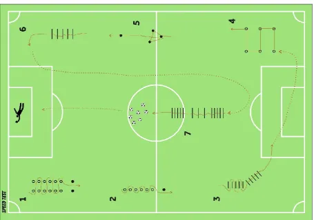 Figure 1: Speed exercises applied to athletes 