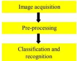 Fig 2.  Overall procedure of implementation  