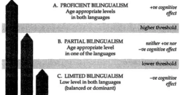 Figure 5 Threshold Theory: The cognitive effects of different kinds of bilingualism (From Cummins, 1987, as cited in Lyons, 1996, p