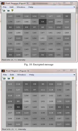 Fig. 10: Encrypted message  