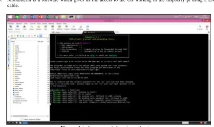 Figure: Raspbian operating system desktop 