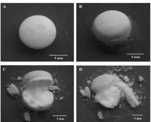 Fig. 3: Sequential presentation of swelling followed by rupture of the outer membrane leaving inner active layer  exposed to dissolution media