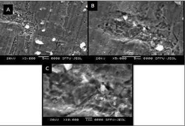 Fig. 3 SEM image of 3000 times zoom (A) 5000 times zoom (B) and 10000 times zoom(C) 