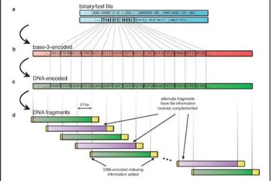 Fig. 3: The Basic Overview [6] 