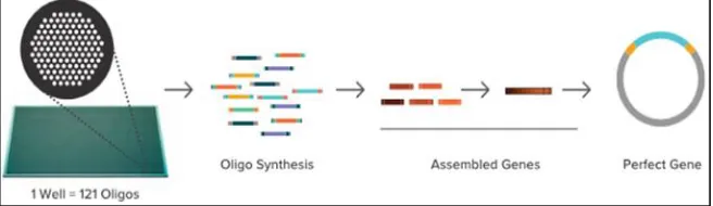Fig. 4: Human DNA Storage vs Data Centers [1] 
