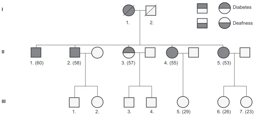 Figure 1 – Index case family tree