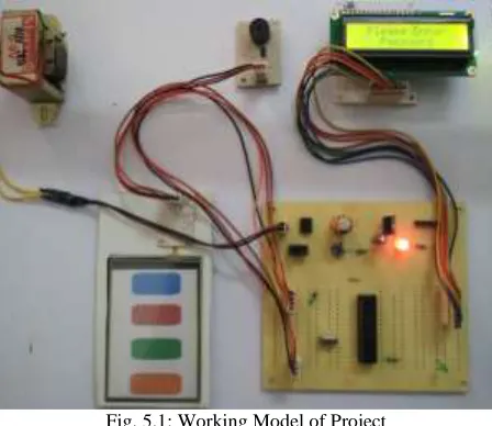 Fig. 5.1: Working Model of Project 