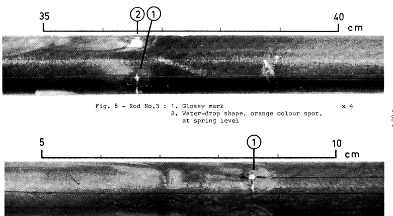 Fig. 8 - Rod No.3 