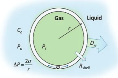 Fig. 1Schematic representation of a lipid shelled MB illustrating thefactors that aﬀect MB lifetime