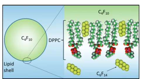 Fig. 8Schematic diagram showing (i) the incorporation of C6F14 into theMB shell thereby reducing surface tension and the Laplace driving force fordissolution and (ii) the saturation of the medium with C6F14 therebyreducing the solubility of C4F10 in the ambient phase.