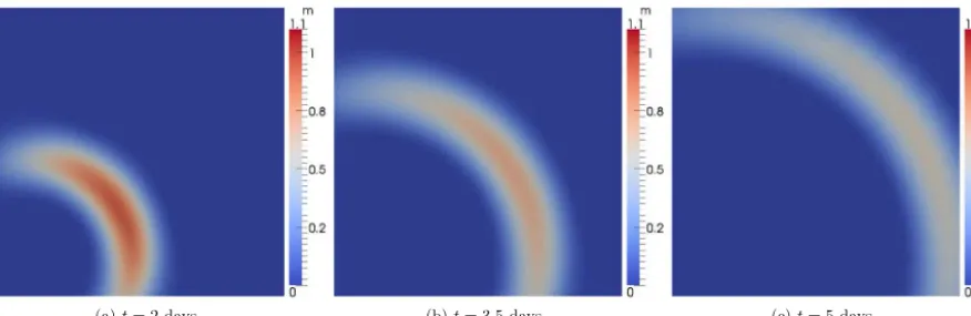 Fig. 15. Angularthethe mesh, i.e. number of angular basis functions, for a HW2,6 discretisation with tolerance τ = 10−6 at various time levels