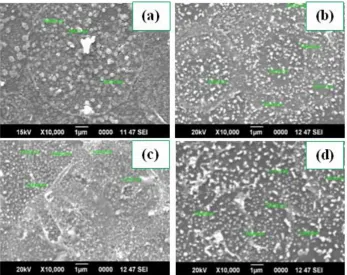 Fig. 2. The microstructural properties of (a) microstrain and crystallite size and (b) dislocation density for pure CuO and different doping concentrations of Sn doped CuO thin films  