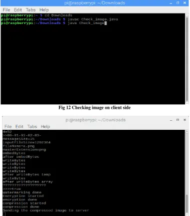Fig 12 Checking image on client side  