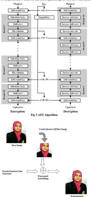 Fig 3 AES Algorithm  