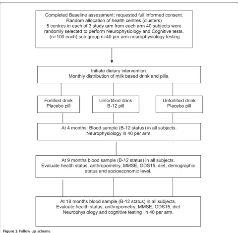 Figure 2 Follow up scheme.