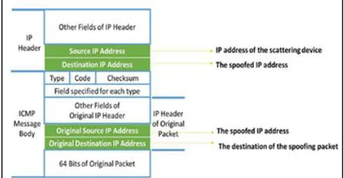 Fig. 6: The Format of Path Backscatter Messages 