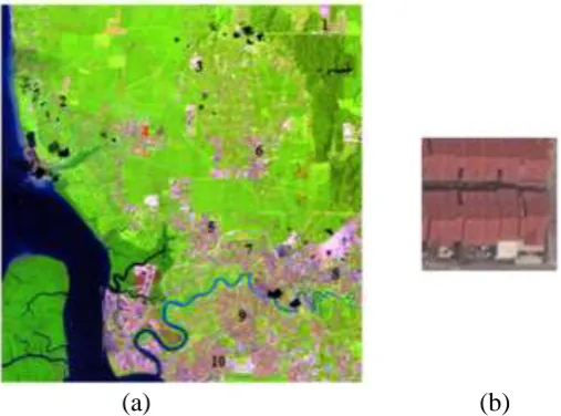 Fig (b) shows the enlarged version of PIF number 7. The PIFs are selected from the rooftops of houses that have nearly constant radiances