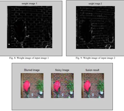 Fig. 9: Weight image of input image 2 