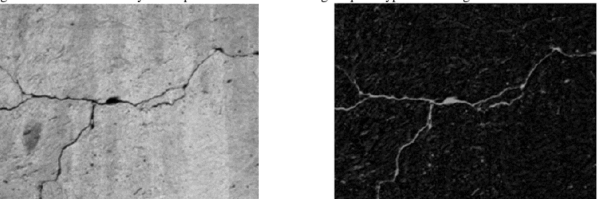 Figure 5: Bottom-Hat Transformed Image