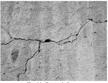 Fig. 11: Grayscale Image