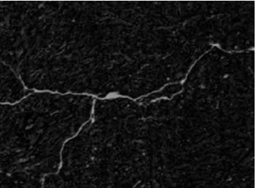 Fig. 12: Smoothed Grayscale image