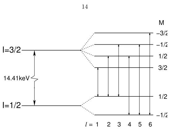 Figure 2.3: Transitions between ground state and 1st excited state of an 57Fe nucleus.
