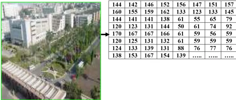 Fig. 2: The cover image “Mansoura.bmp" 