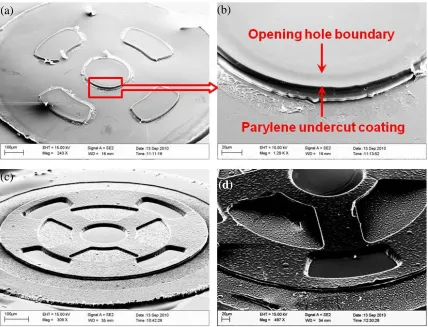 Figure 2-18: SEM pictures of (a) undercut parylene-C foot coating (back side view), (b) 
