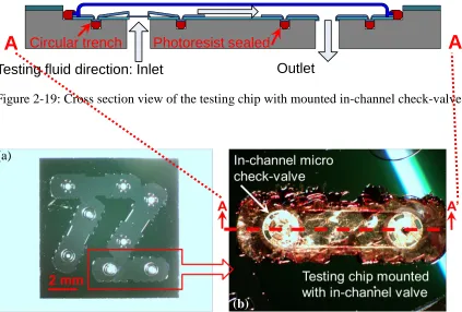 Figure 2-19: Cross section view of the testing chip with mounted in-channel check-valve 