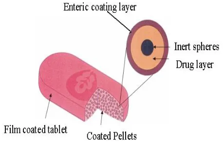 Figure 1: MUPS- Multiple Unit Pellets compressed to Tablet. 