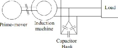 Figure 1: schematic diagram of a SEIG system  