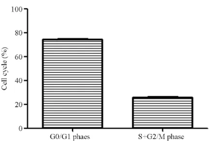 Figure 1.  Cell cycle of hUC-MSCs. 78% of hUC-MSCs were in the G0/G1 phase. 