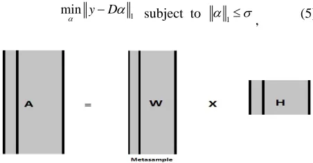 Figure 1. The metasample model of gene expression data. 