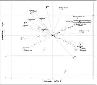 Fig. 1. Principal component analysis of the results of investigations. 1 – AP-1B; 2 – AP-1F; 3 – AP-1S; 4 – AP-2B; 5 – AP-2F; 6 – AP-2S.