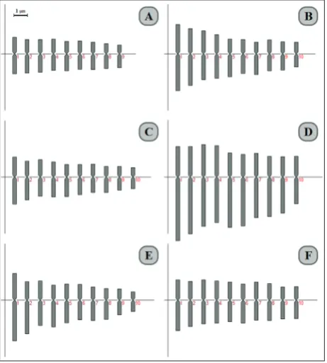 Fig. 3. Dendrogram showing karyological relationships of 6 Bunium taxa. Numbers above branches indicate bootstrap values