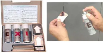 Figure 5.  Expray reagent kit and application [11] 