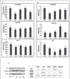 Fig. 2. The effect of C. sativa and L. deterrimus extracts and their combination on the activities of antioxidant enzymes (A), the levels of antioxidant enzyme mRNAs (B), and on O-GlcNAc modified proteins (C) in the liver of diabetic rats four weeks after 