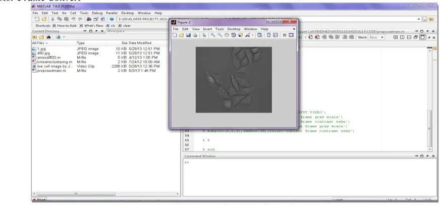 Fig 1: Frame After Color Converting 