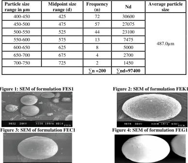 Figure 1: SEM of formulation FES1                           Figure 2: SEM of formulation FEK1