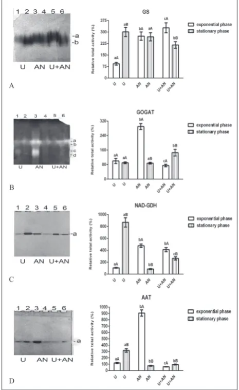 Fig. 2. Isoenzyme patterns (on the left) and changes in total en-zyme activity (on the right) of C