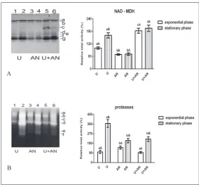 Fig. 3. Isoenzyme patterns (on the left) and changes in total enzyme activity (on the right) of C