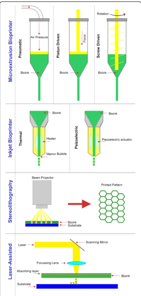 Fig. 2 Schematics of current bioprinting methods. Microextrusioncan be used to produce a continuous flow of biomaterial (bio-ink)through a nozzle