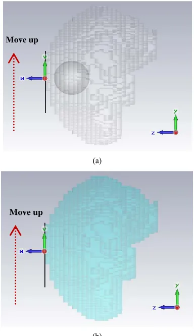 Figure 1. Simulated human brain phantom: (a) With tumor; (b) Without tumor.  