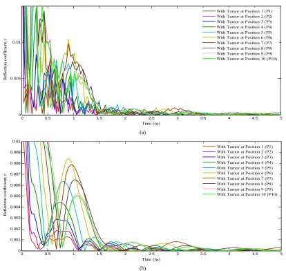 Figure 2. Frequency domain of the simulated human brain phantom contained tumor at 19 different points along Y-axis
