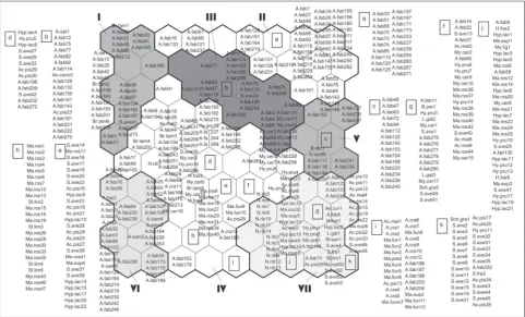 Fig. 1. The self-organizing map (SOM) presenting the ordination and classification pattern of aphid hosts based on their parasitoid qualitative and quantitative structure