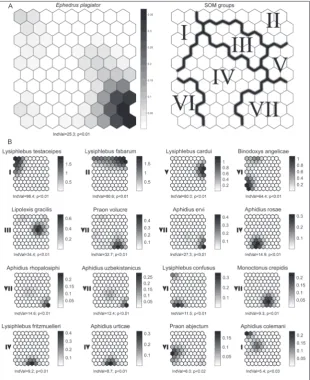 Fig. 2. Distributional patterns of IndVal taxa (with p<0.05) across SOM groups revealing the competitive ability of (A) Ephedrus plagiator and (B) the studied Aphidiinae wasps