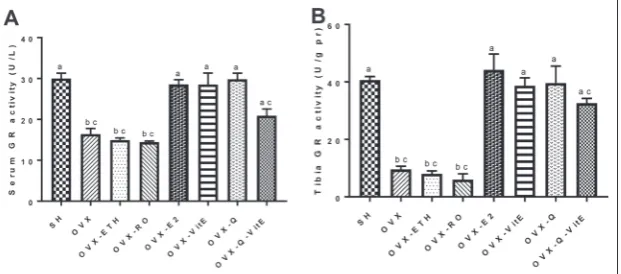 Fig. 1. Effects of E2, Q and vitE on serum 17β-estradiol levels. Data are expressed as means±SEM, (n=8)