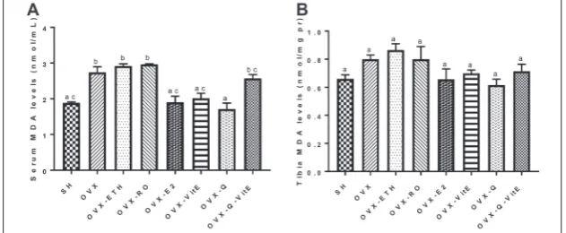 Fig. 6. Changes in (A) serum and (B) tibia MDA levels in OVX rats treated with E2, vitE, Q and Q+vitE